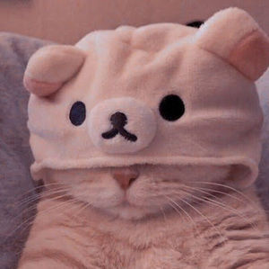 Meet your Posher, Ava